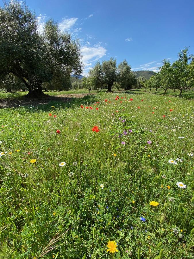 Wonderful Comfortable Finca In The Burga Valley Rasquera 外观 照片